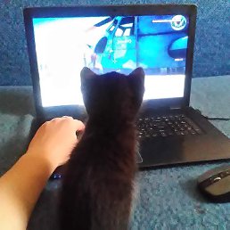 ���� ������, ������, 36 ��� - ��������� 17 ���� 2017