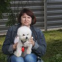 ���� ����, ������-��-����, 52 ���� - ��������� 20 ��� 2017 � ������ ������ ��������