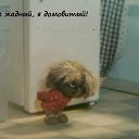 ���� Valeriy, ������, 54 ���� - ��������� 23 ������� 2017 � ������ �������