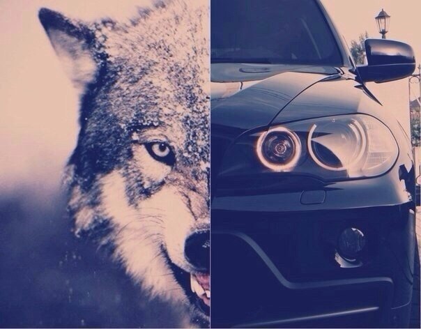  | BMW - 16  2017  03:31
