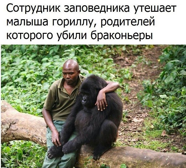 ������� - 3 ���� 2017 � 00:05