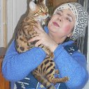 ���� ������� �����, ��������� - ��������� 7 ������� 2017 � ������ ���� ����������