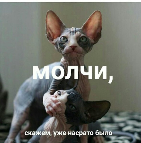   ... - 27  2017  21:05