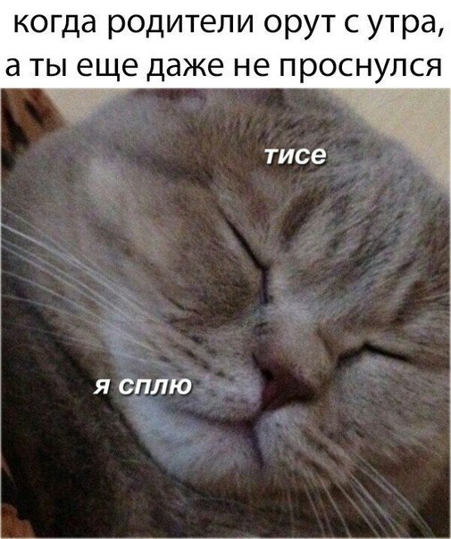    :D - 6  2017  01:07