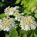 9.06.2017 �� ������� �� ��� - ��������!!!)))�