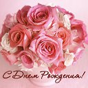 ���� �������, �����-��������� - ��������� 14 ������ 2017 � ������ ������ ��������