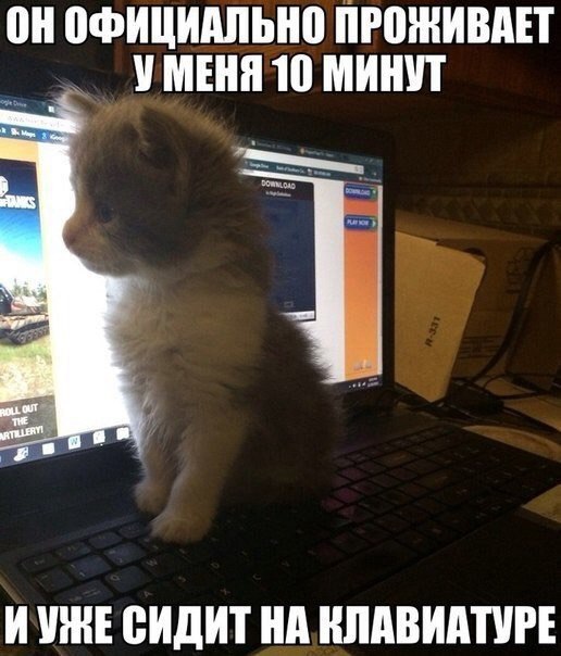    :D - 20  2017  21:35