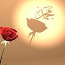 ���� ������, �����-��������� - ��������� 15 �������� 2017 � ������ ������ ��������