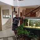 ���� ����, ������, 55 ��� - ��������� 3 ���� 2017 � ������ ���� ����������