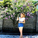 ���� ����, ������, 47 ��� - ��������� 29 ���� 2017 � ������ ���� ����������