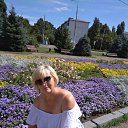 ���� ������, �����������, 65 ��� - ��������� 26 ������� 2017