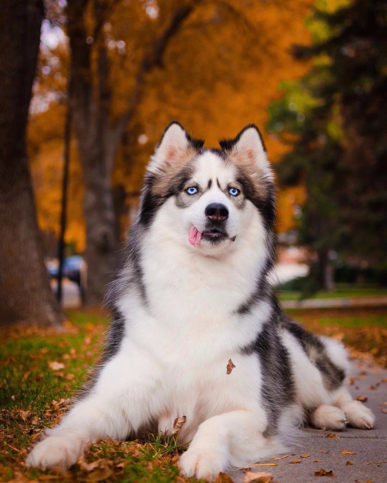 E s t h e t i q u e - 11  2017  23:53 - 9