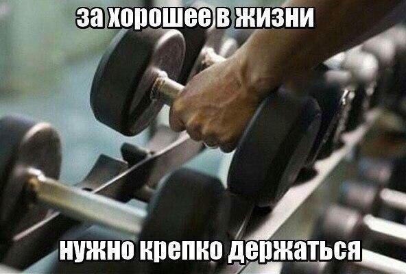 SportFeed - 24  2017  06:42