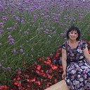 ���� ��������, ����������, 59 ��� - ��������� 26 ������� 2017 � ������ ���� ����������