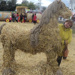 ����, �������, 65 ���