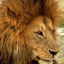 ���� ������, ��������� - ��������� 28 ��� 2017 � ������ ���� ����������