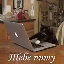 ���� ������, �������� - ��������� 12 ��� 2017 � ������ ������