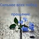 ���� �����, ������, 48 ��� - ��������� 6 �������� 2017 � ������ ������ ��������