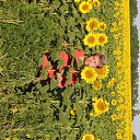 ���� �������, ���� - ��������� 18 �������� 2017 � ������ ���� ����������