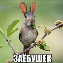 ���� ������, ����, 54 ���� - ��������� 23 �������� 2017 � ������ ������ ��������