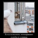 ���� Andrey, ������ - ��������� 1 ������� 2017 � ������ ���� ����������