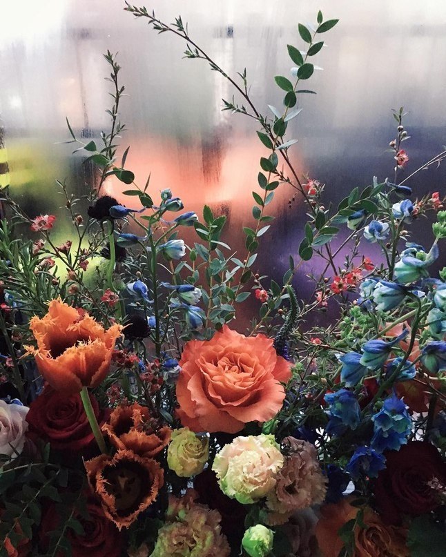 ����� ���������� �� �����! - 15 ������� 2017 � 08:00