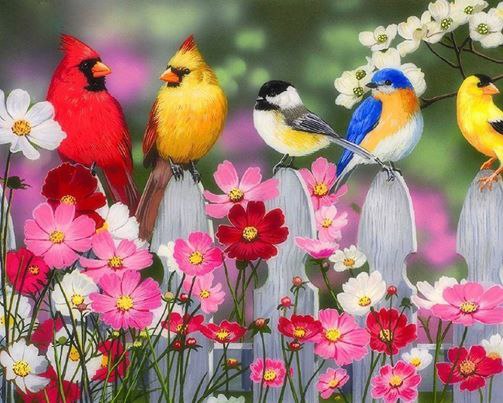 ДЛЯ ТЕБЯ С ЛЮБОВЬЮ, ЛАСКОЙ.СОЗДАЛА ПРИРОДА СКАЗКУ!ЛОВИ МГНОВЕНИЯ ПРЕКРАСНЫЕ,ЦЕНИ ДНИ СВЕТЛЫЕ И ...