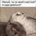 ���� ����, �������, 63 ���� - ��������� 6 ������� 2017 � ������ ������ ��������
