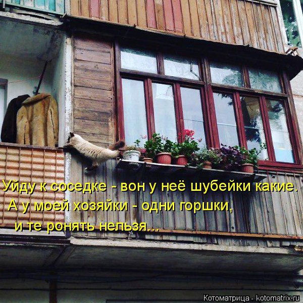   - 5  2017  20:53