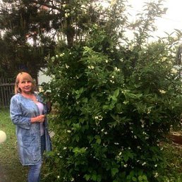 ���� �������, �������, 71 ��� - ��������� 16 �������� 2017