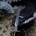 ���� ���, �������������, 53 ���� - ��������� 2 ��� 2017 � ������ ������ ��������