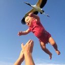 ���� ��������, ���������, 49 ��� - ��������� 20 ���� 2017 � ������ ���� ����������