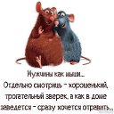 ���� Maria, ������, 70 ��� - ��������� 23 ���� 2017 � ������ ������ ��������