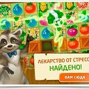 ���� �����, ������-��-����, 48 ��� - ��������� 20 ������� 2017 � ������ ������ ��������