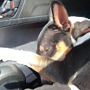 ���� ������, ������, 64 ���� - ��������� 31 ��� 2017 � ������ ������ ��������