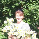 ���� 2017 �� ������� ���� ����������