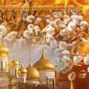 ���� ������, ����� - ��������� 9 ������ 2017 � ������ ������