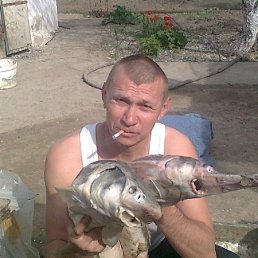 �����, ������, 57 ���