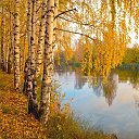 ���� Andrey, ������ - ��������� 29 ������� 2017 � ������ ������ ��������