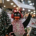 ���� ����, ���������, 46 ��� - ��������� 17 �������� 2017 � ������ ���� ����������