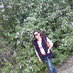 ���� �����, ����������� - ��������� 18 ��� 2017