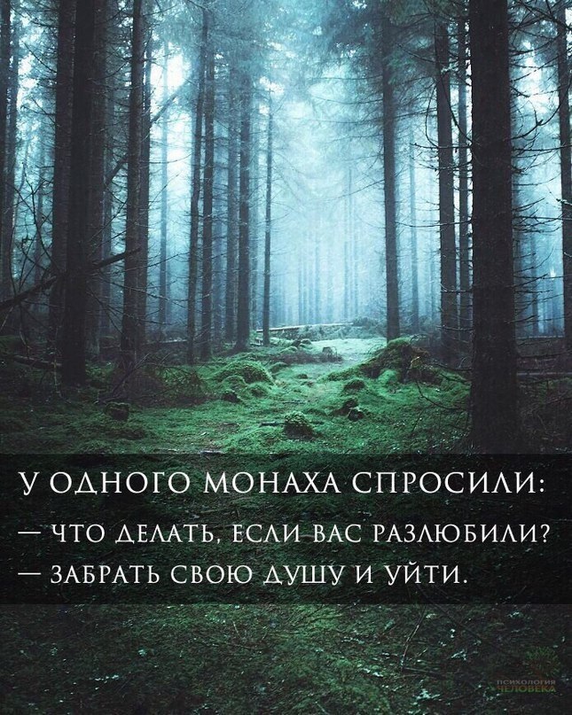  | ,  - 20  2017  10:06