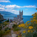 ���� ����, �����������, 58 ��� - ��������� 21 ���� 2017 � ������ ���� ����������