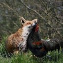 ���� ������, ������ - ��������� 31 ������� 2017 � ������ �������