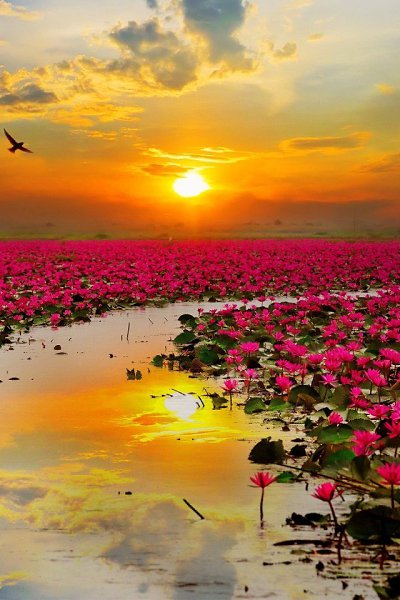  ,  !             ...