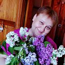 ���� ���������, ��������� - ��������� 21 ��� 2017 � ������ ���� ����������