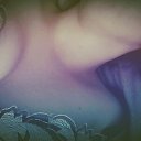 ���� ������***, ����������� - ��������� 30 ���� 2017 � ������ ���� ����������