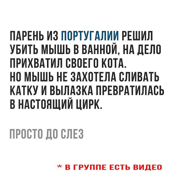    - 14  2017  19:59