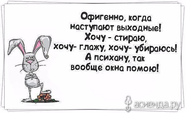 Выходной — самый тяжелый день недели. Надо и отдохнуть, и выспаться. И в квартире убраться, и ... - 2