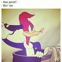 ���� ������, ������, 29 ��� - ��������� 5 ���� 2017 � ������ ���� ����������